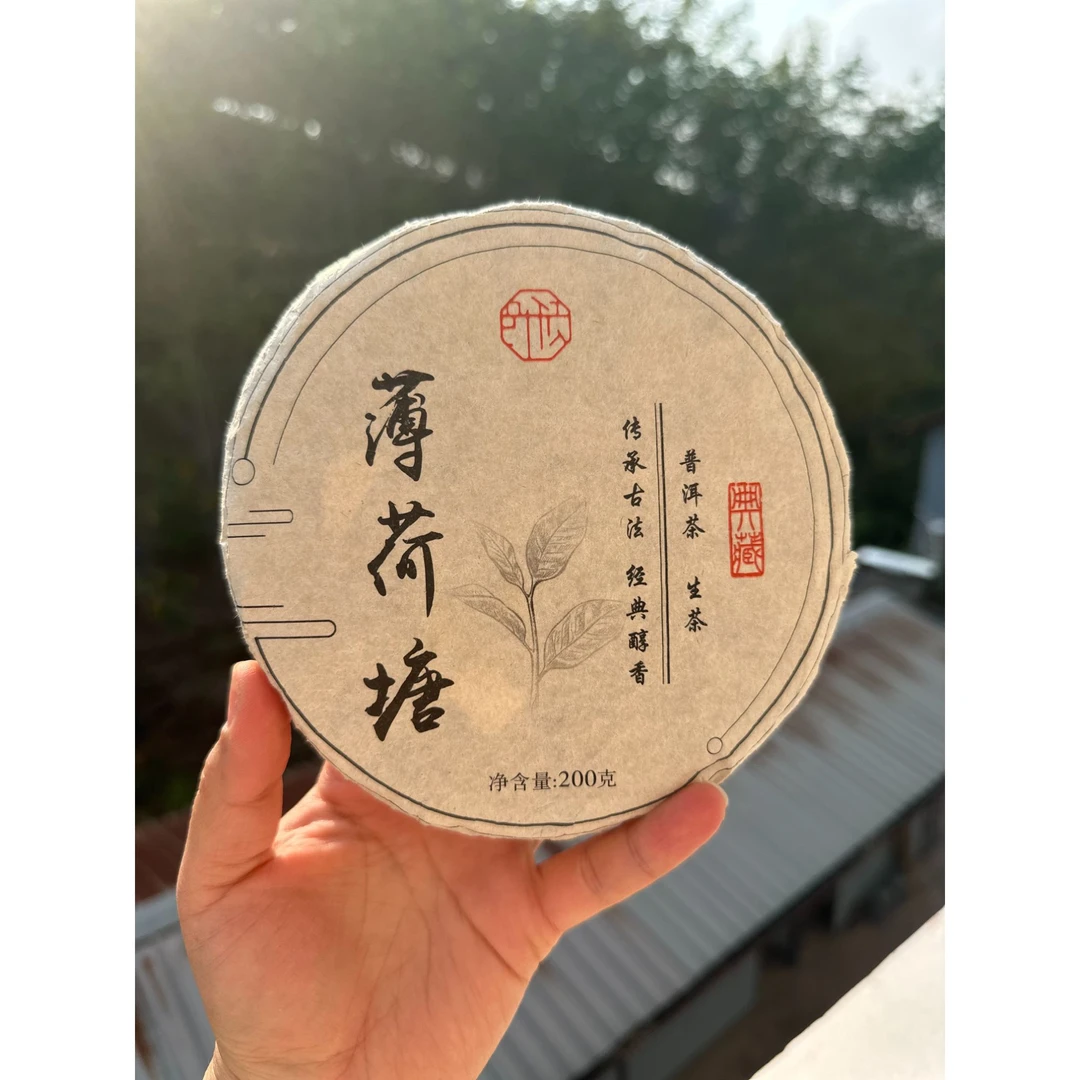 薄荷塘三类春茶2023年 帕扎河核心区 200g茶饼