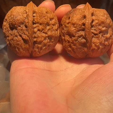 把件文玩核桃铁狮子带彩44