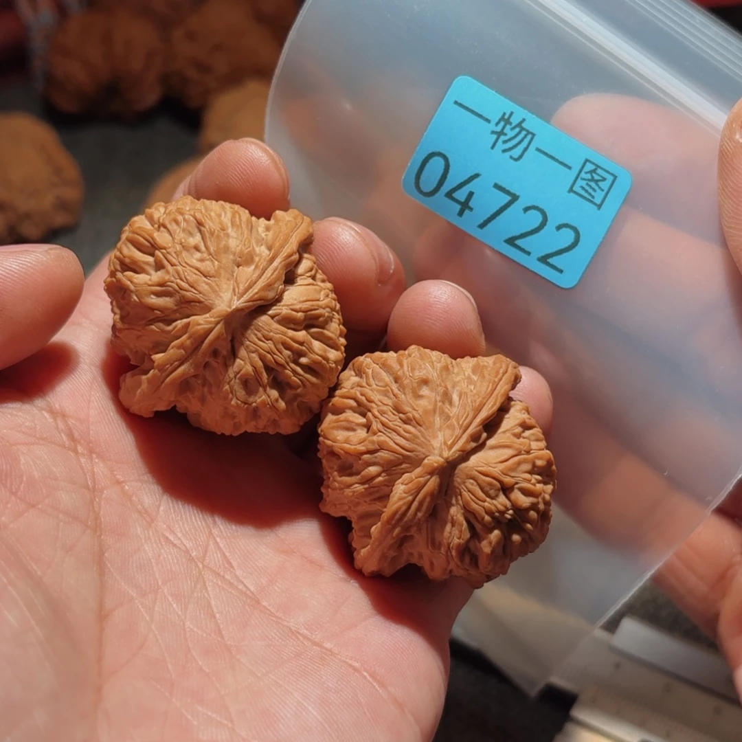 文玩核桃把件白狮子