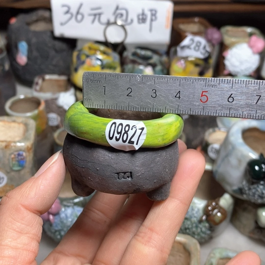 拍3送一个小礼物