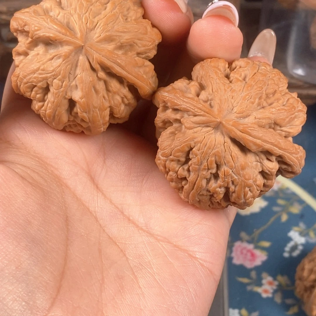 核桃柯文玩核桃大粗筋