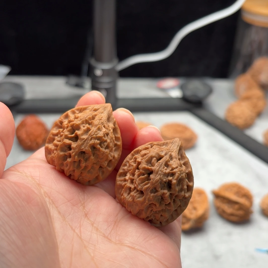 吊坠文玩核桃太行龙纹32.35.37