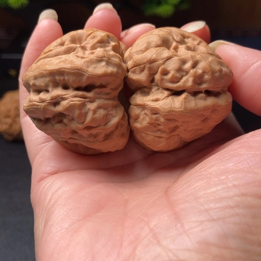 文玩核桃把件蛤蟆头42