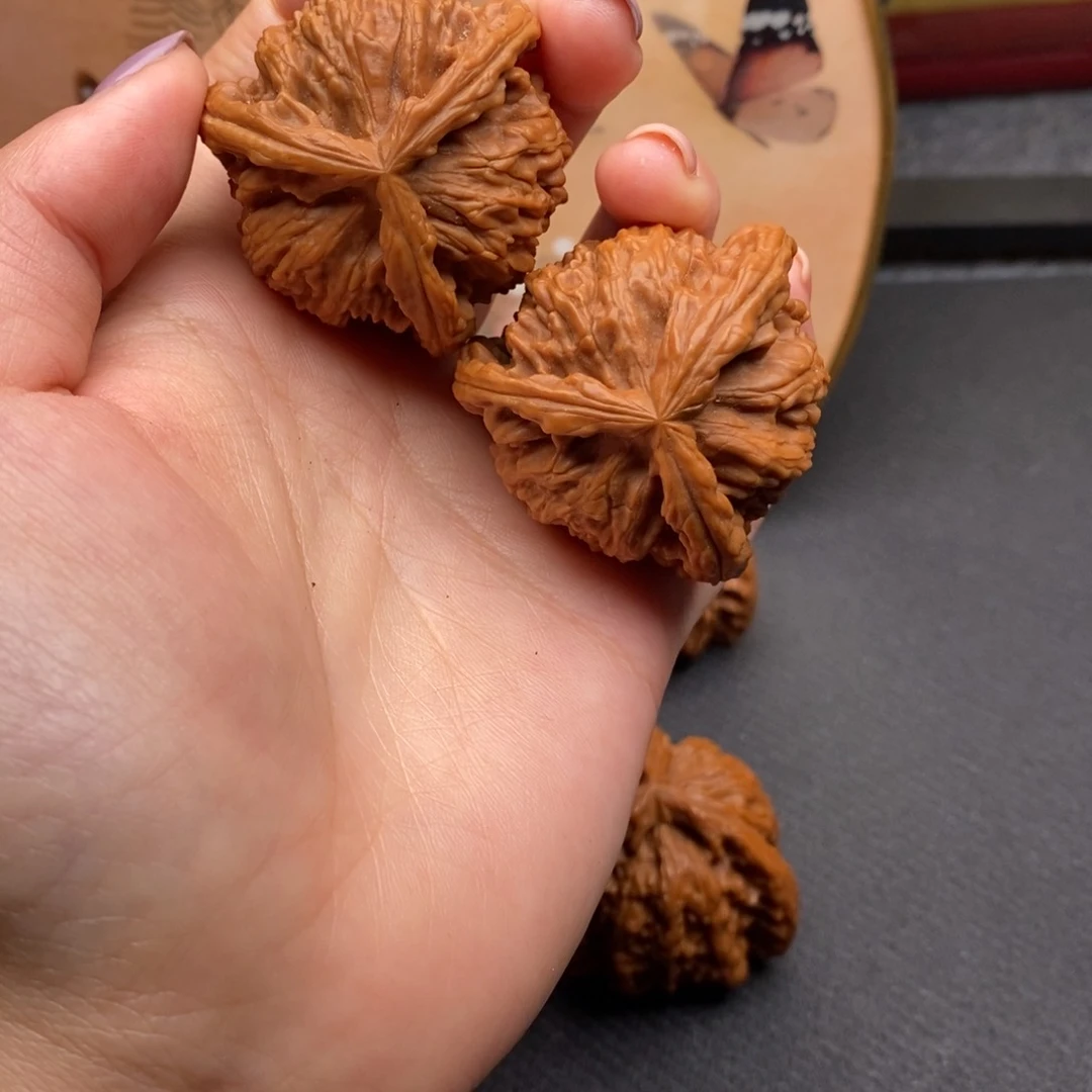 勇****9白狮子11111111111