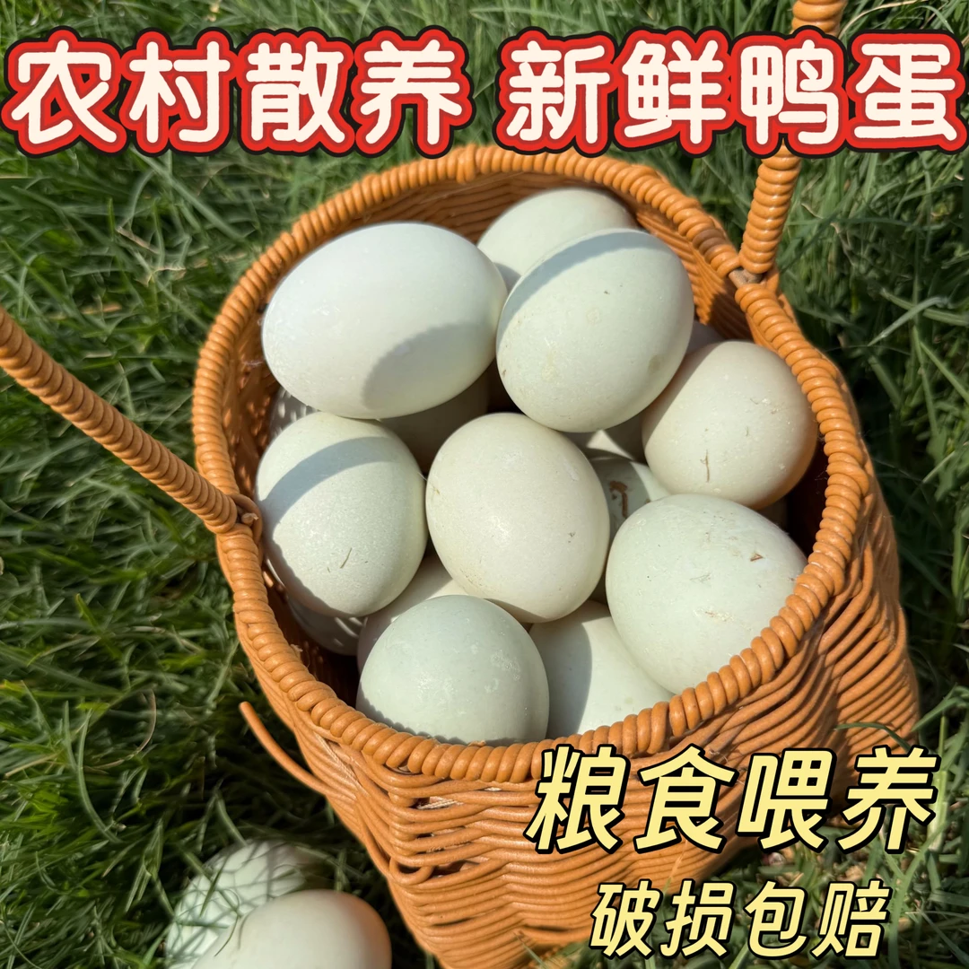 30枚农家自产鸭蛋新鲜散养鸭蛋土鸭蛋麻鸭蛋农家散养绿壳生鸭蛋