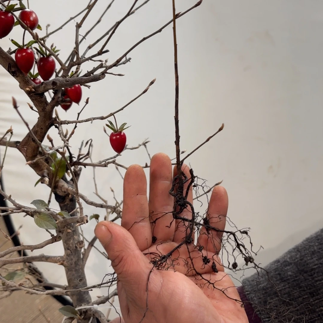 千***王哈哈哈哈哈哈1907