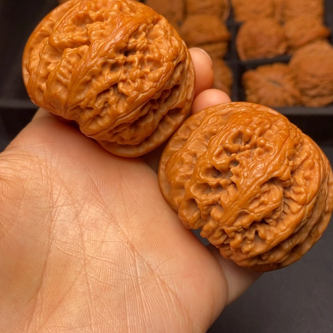 文玩核桃把件秦岭野生核桃