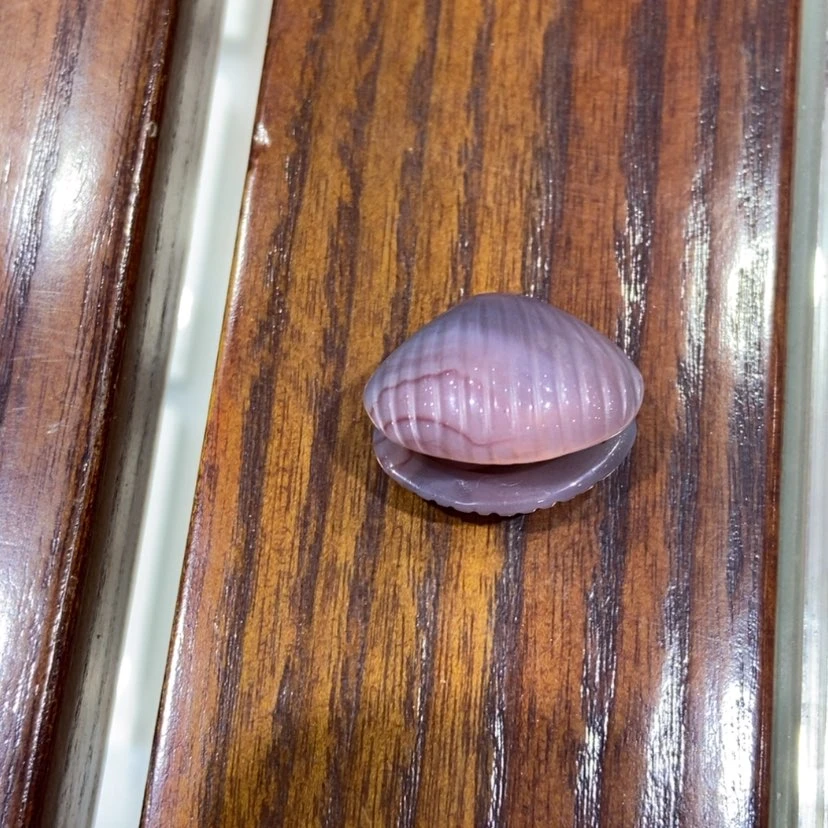 【闪购商品】定制玛瑙乐*1