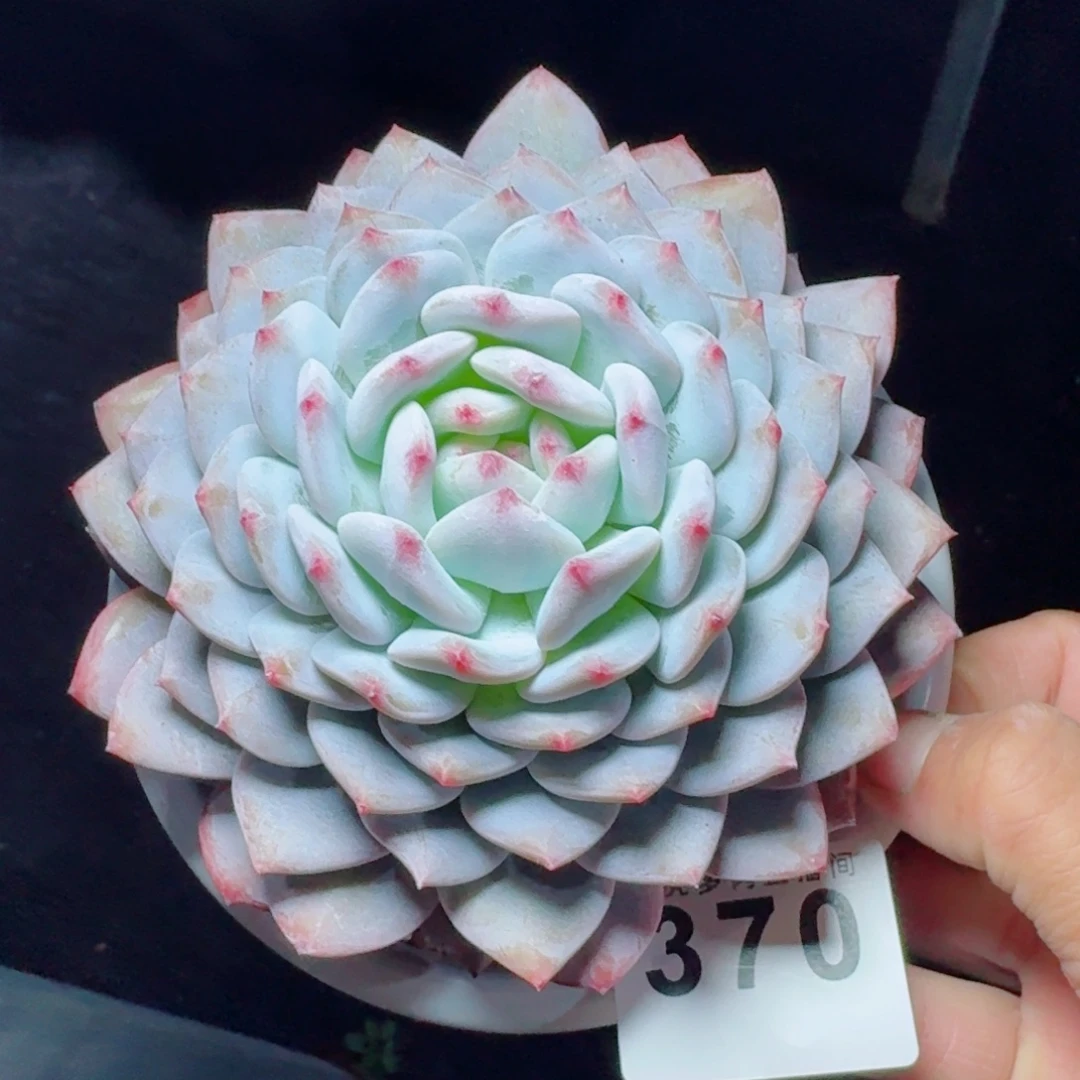 微***晴星星橙      愿你一路坦途，乘风破浪展宏图