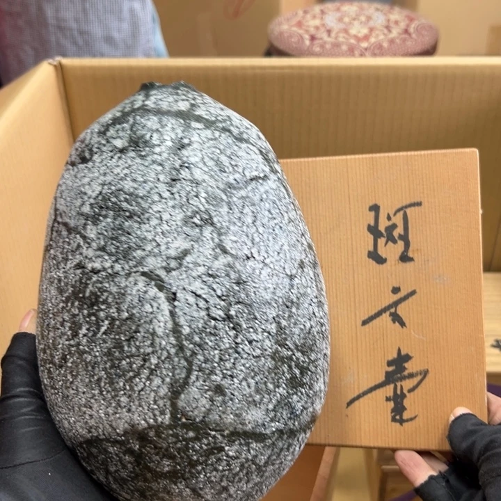 谢谢谢谢谢谢谢谢娃
