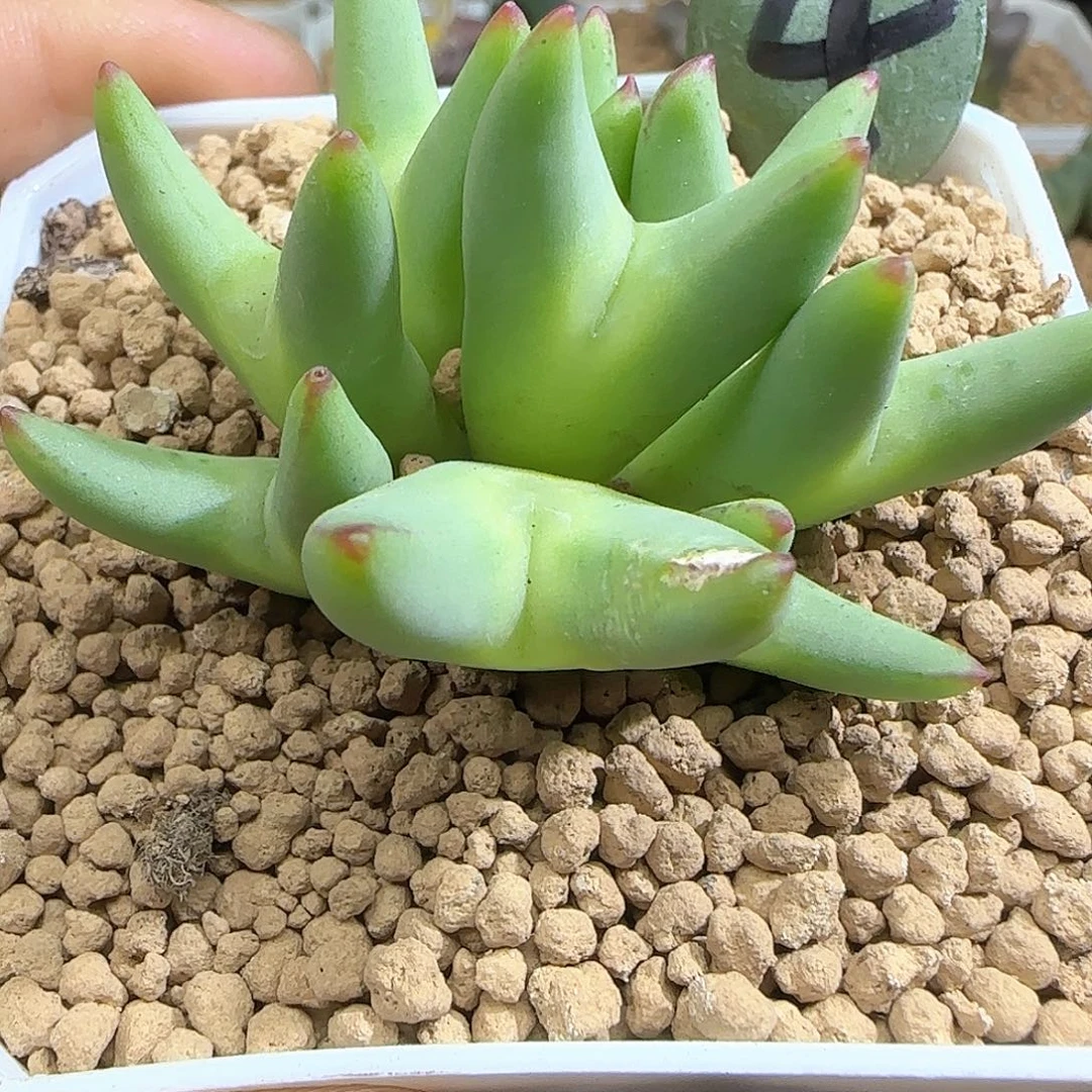 石***车哈哈哈哈哈哈哈54590