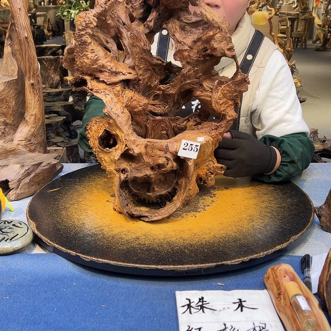 红***士香榧木255ggggggggggg