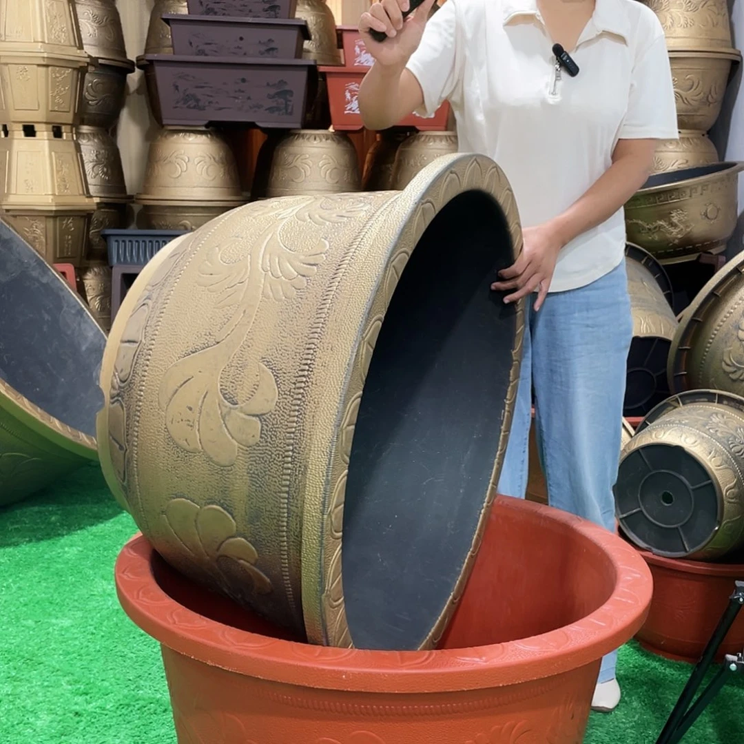 园盆古铜八零一个