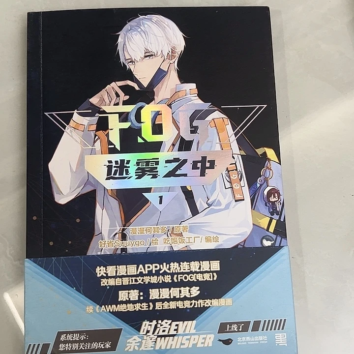 正版书籍 迷雾之中漫画