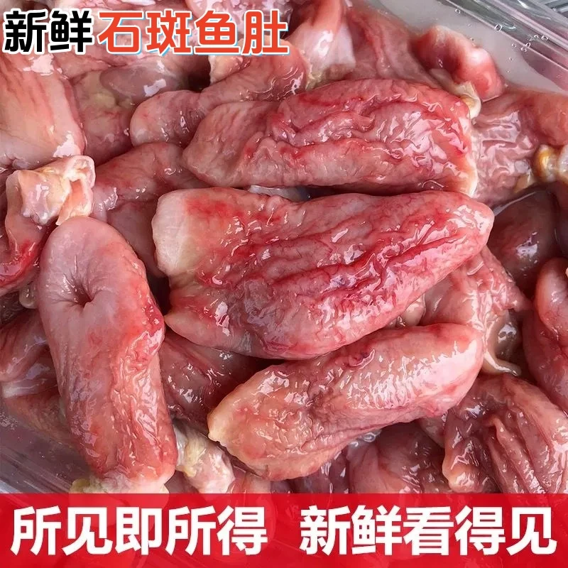 新鲜石斑鱼肚巴沙鱼肚龙利鱼肚花胶鱼胶爽口鱼肚新鲜批发餐饮顺丰