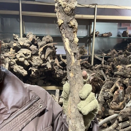 香榧木二**说火琉璃的故事是毛料摆件