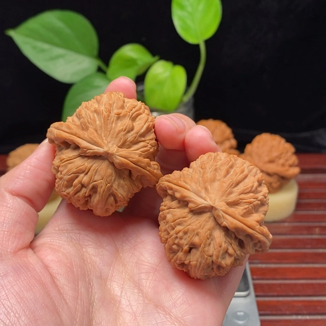 刘***修核桃44全品白狮子文玩核桃