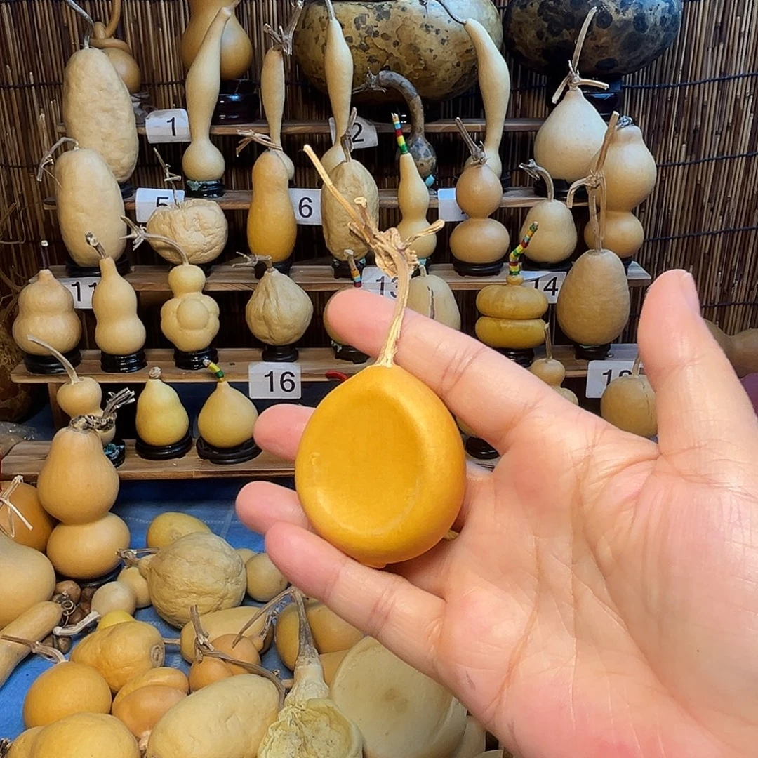 手把凹夹扁9.9米包邮到家