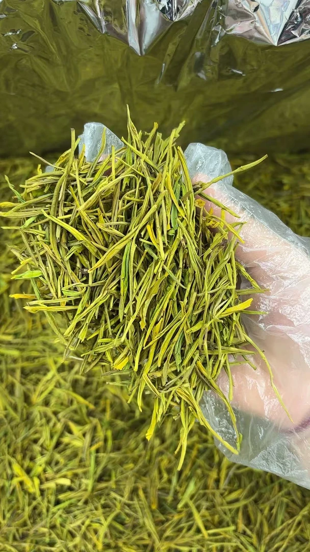 150黄金芽绿茶25新茶125gx4袋一斤送万象车载壶银丰提环杯三选一