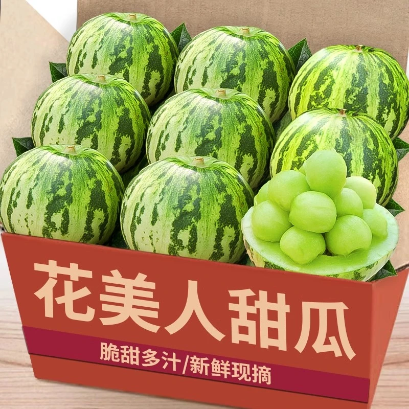 花美人甜瓜蜜罐甜瓜正宗花美人应季新鲜水果农家自种八里香甜香瓜