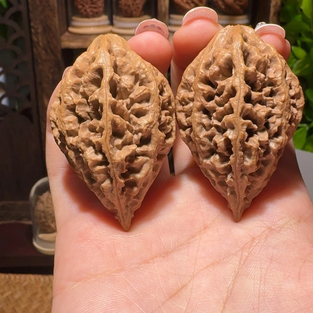 文玩核桃把件梅花刺