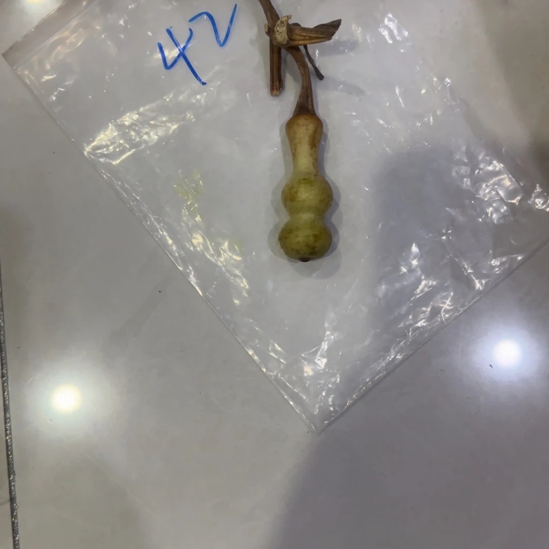 圆***满青皮不包成青皮不包成