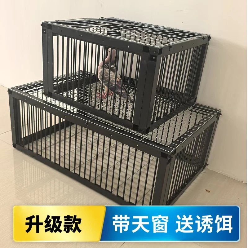 天落笼鸽笼只进不出鸽子笼鸽子活络撞门笼自动收鸽鸽子笼鸽子神器