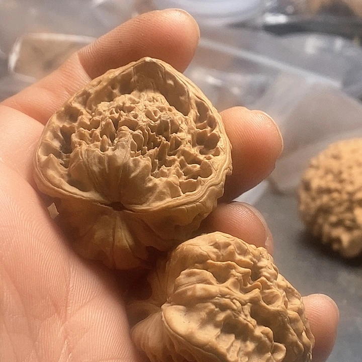 桃核把件菊*羲官帽蛇头