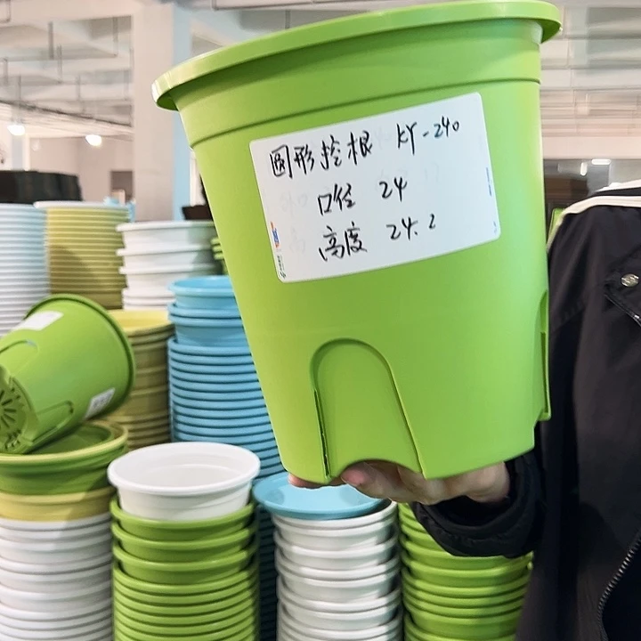 正品圆控口24高24果绿无托8只