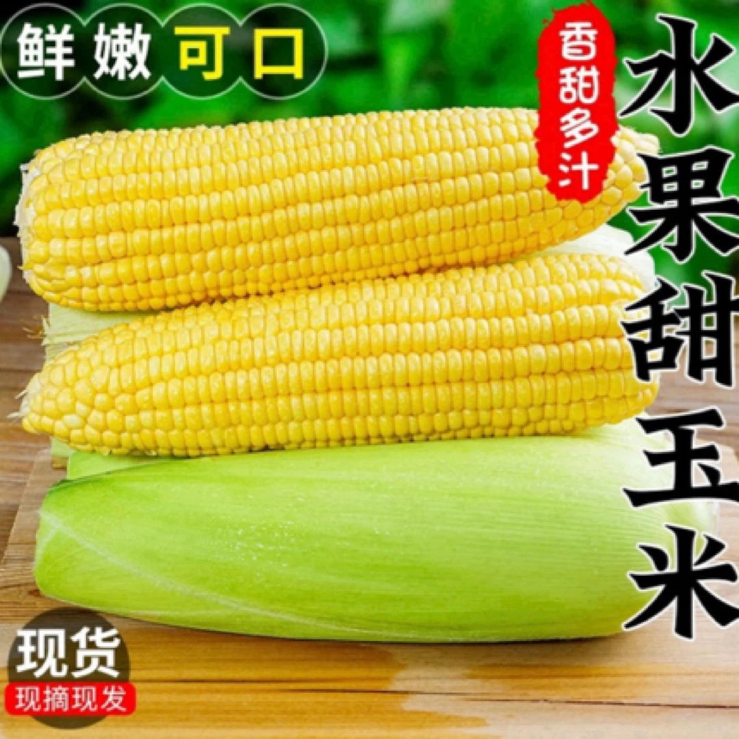 FT当季新鲜水果玉米现摘现发爆浆甜脆天然香甜