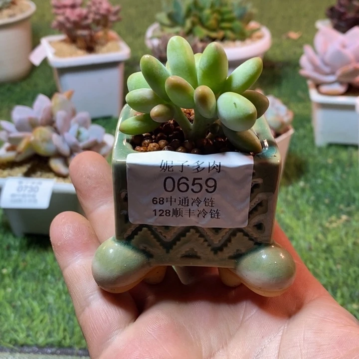 0659啊啊啊啊啊啊啊啊啊啊