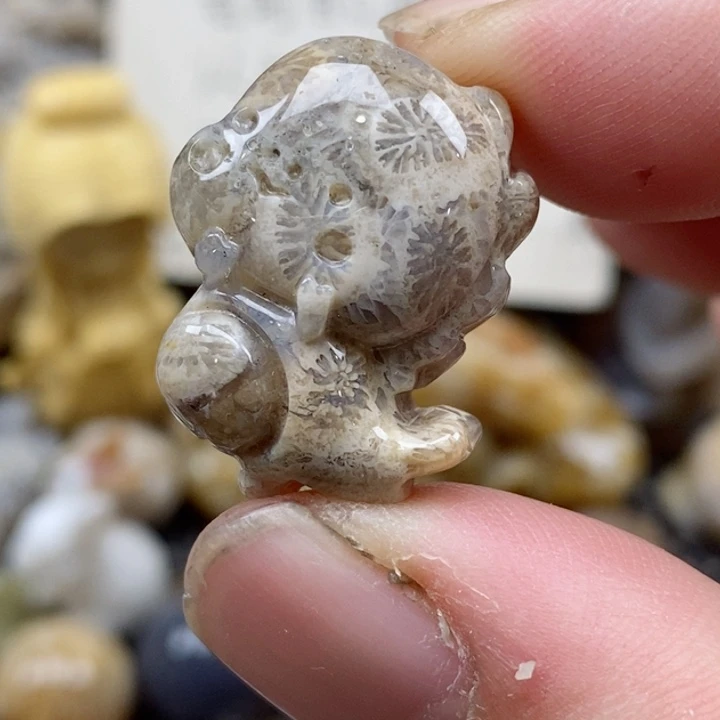 颈饰未镶嵌硅化珊瑚（珊瑚玉）有瑕 小