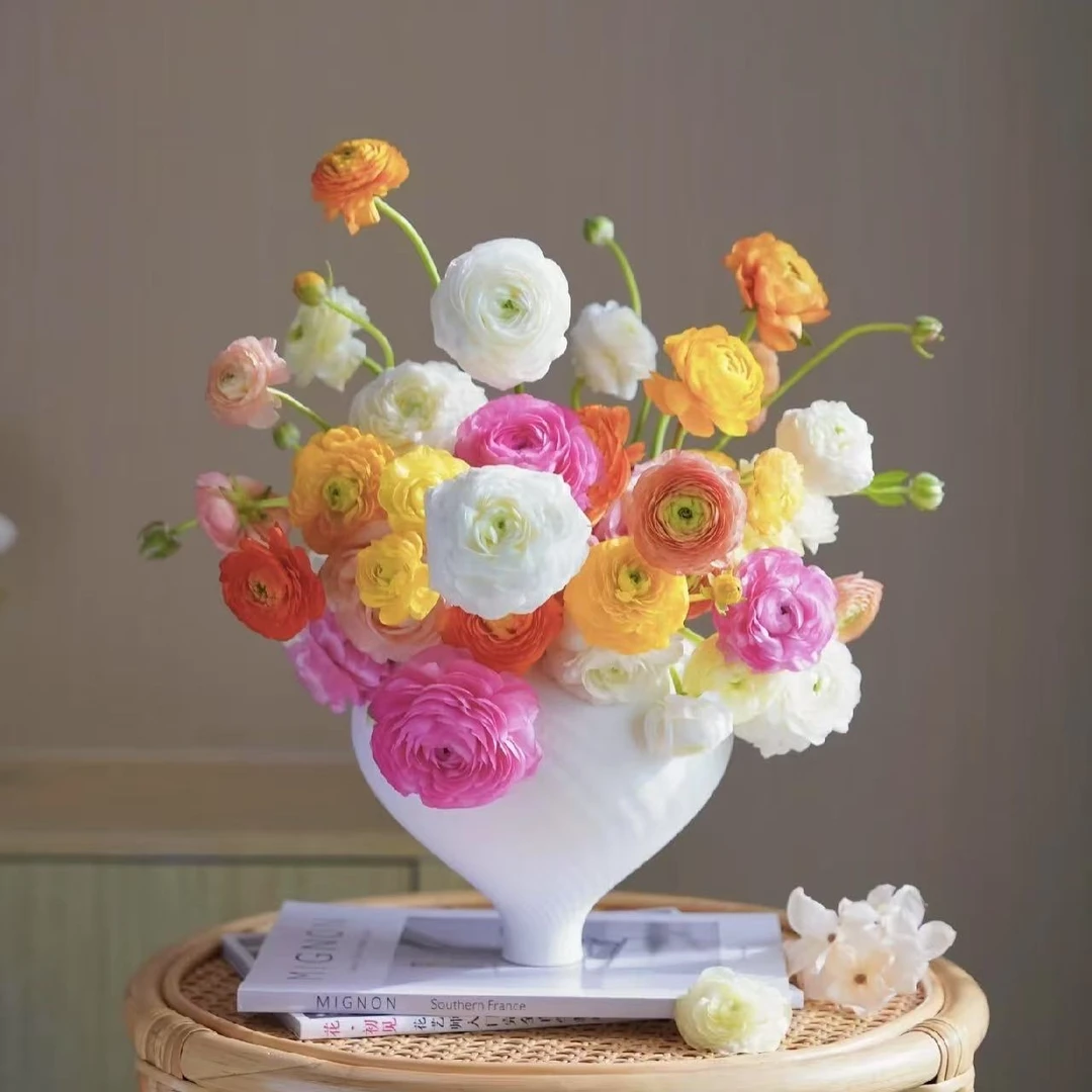 【小巧花材】洋牡丹 产地直发 好养护