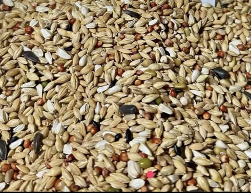 军德缘配方冠军清除 20 斤