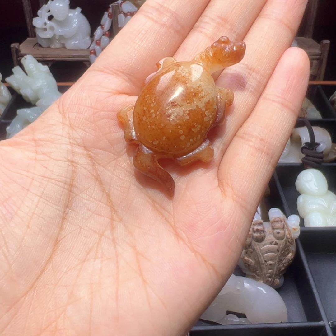 缸一物一图 所见所得