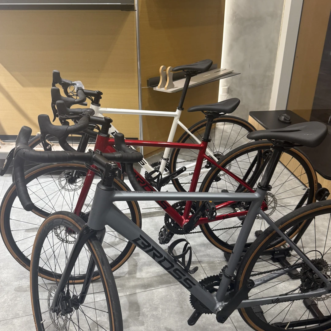 BROSS成人自行车二手