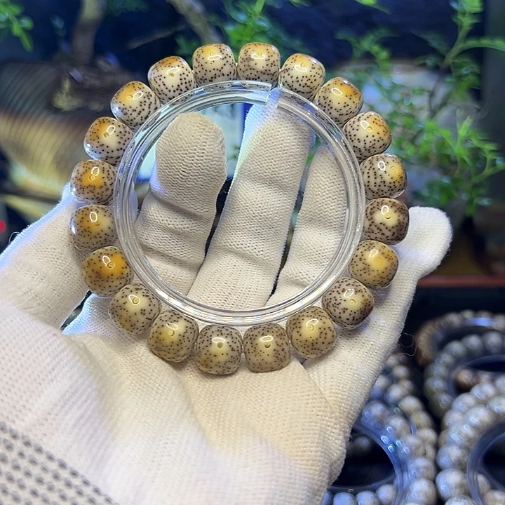 难***涂手串星月菩提海南原生态