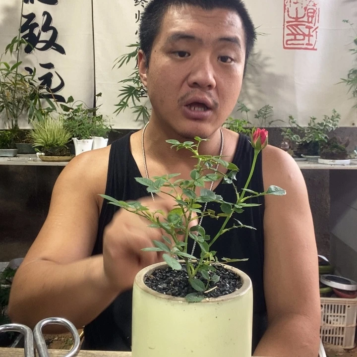安***海无花朵退款拉黑拉黑330