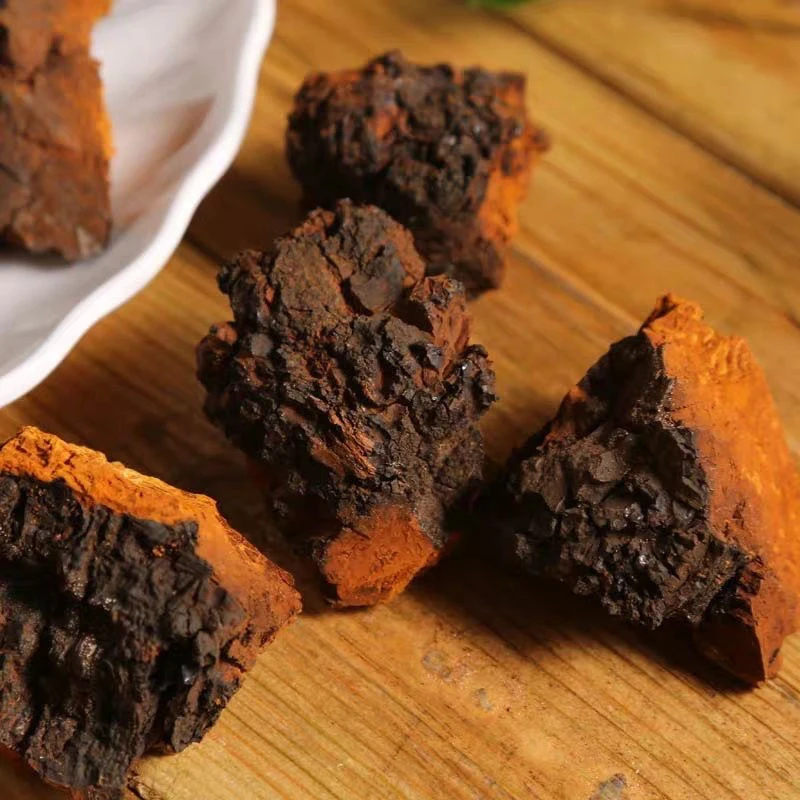 【成哥幸福生活】桦树茸 桦褐孔菌白桦树500g