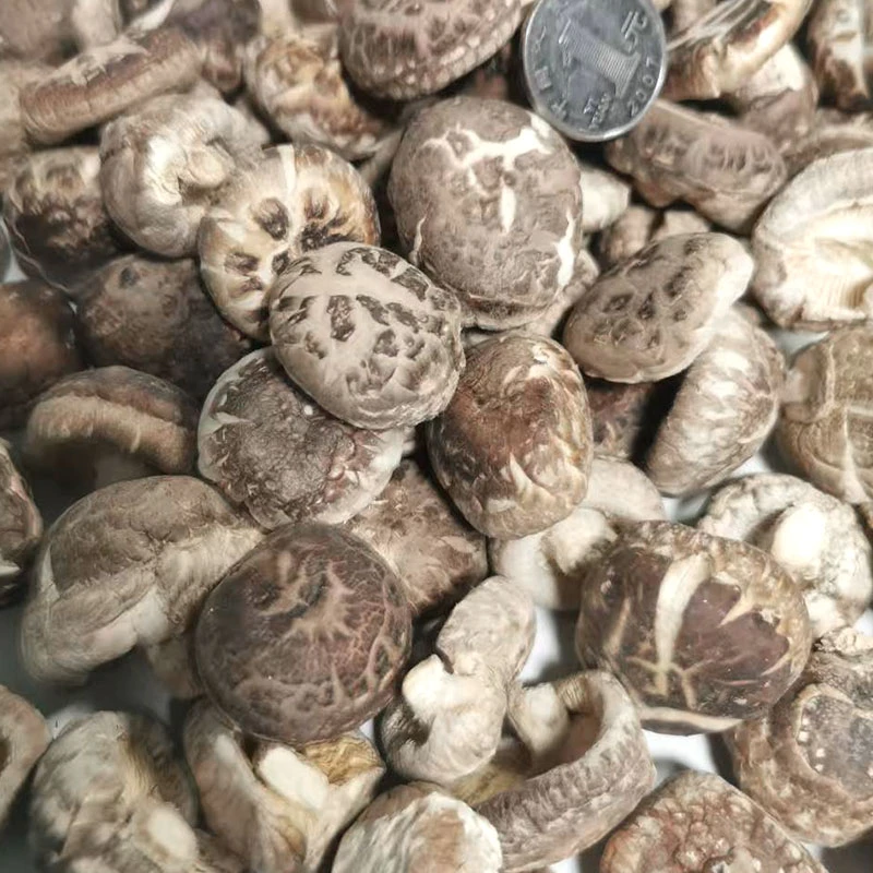 香菇冬菇菌菇非香菇酱