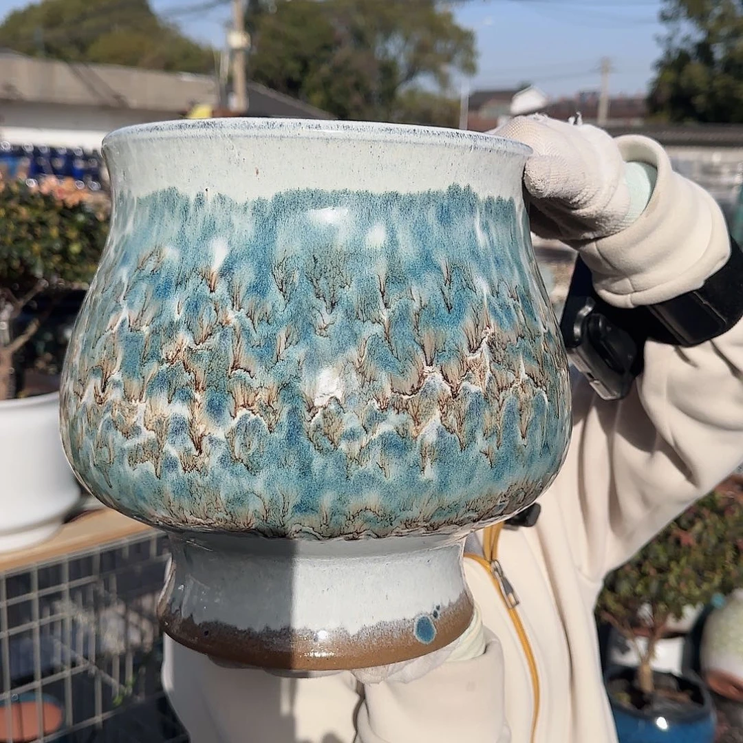 王嫂花盆直播1128-422高25口22