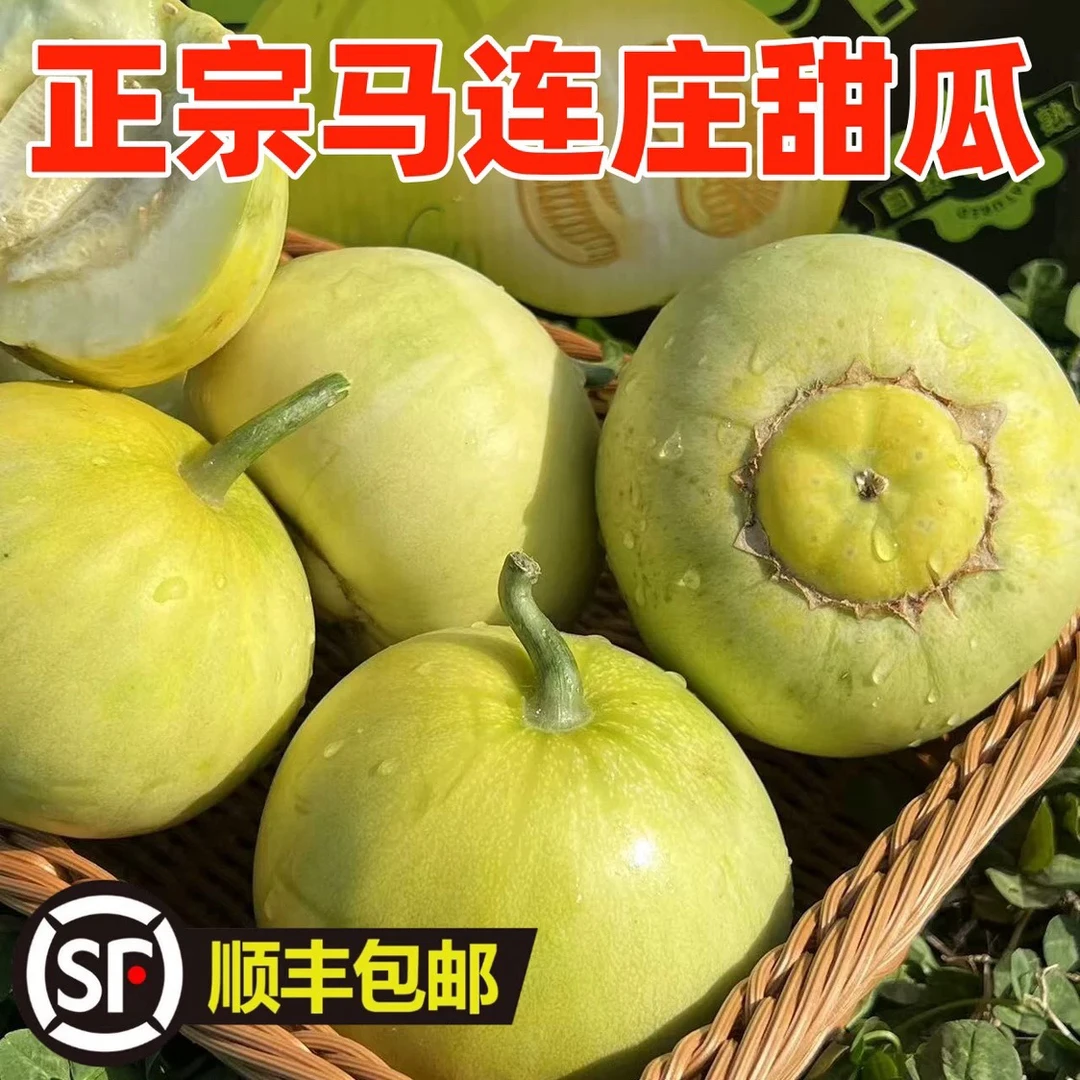 山东青岛马连庄头茬甜瓜脆甜多汁新鲜应季水果包邮