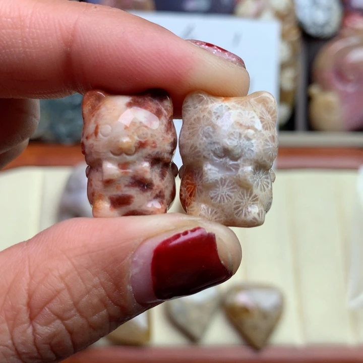 硅化珊瑚（珊瑚玉）颈饰未镶嵌