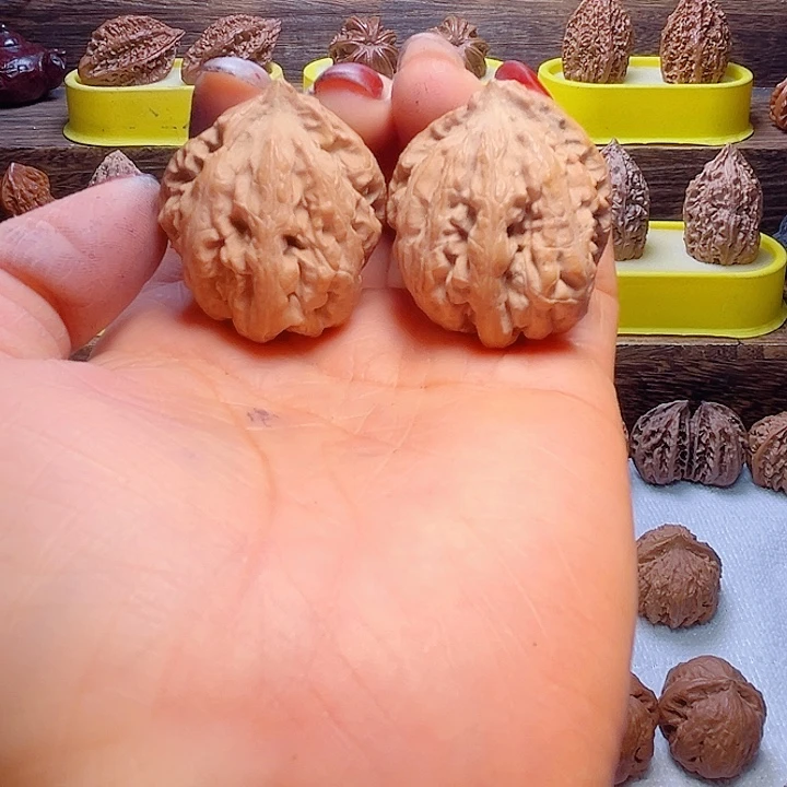 核桃17号车放漏漏漏漏