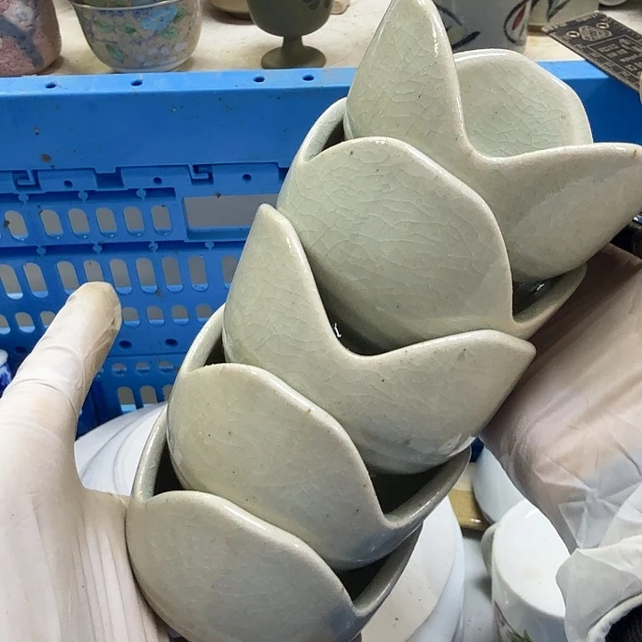 瓷片星**烂开播啦…开播啦