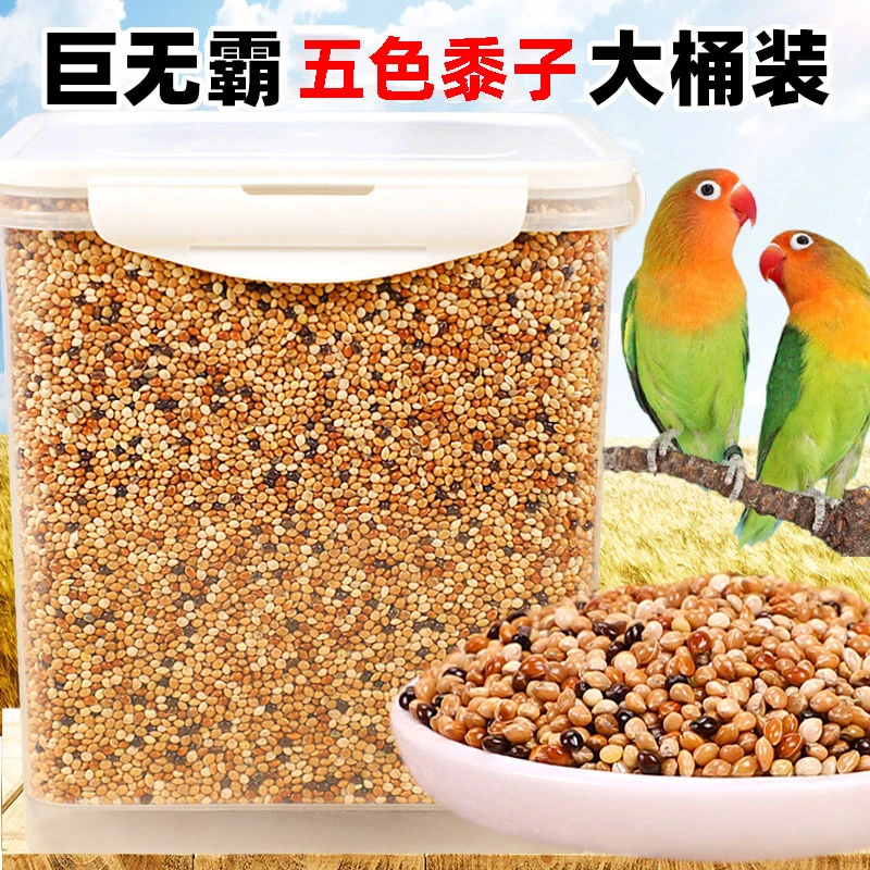 鹦鹉饲料混合五色黍子虎皮鹦鹉鸟食饲料玄凤黄谷子牡丹带壳小米