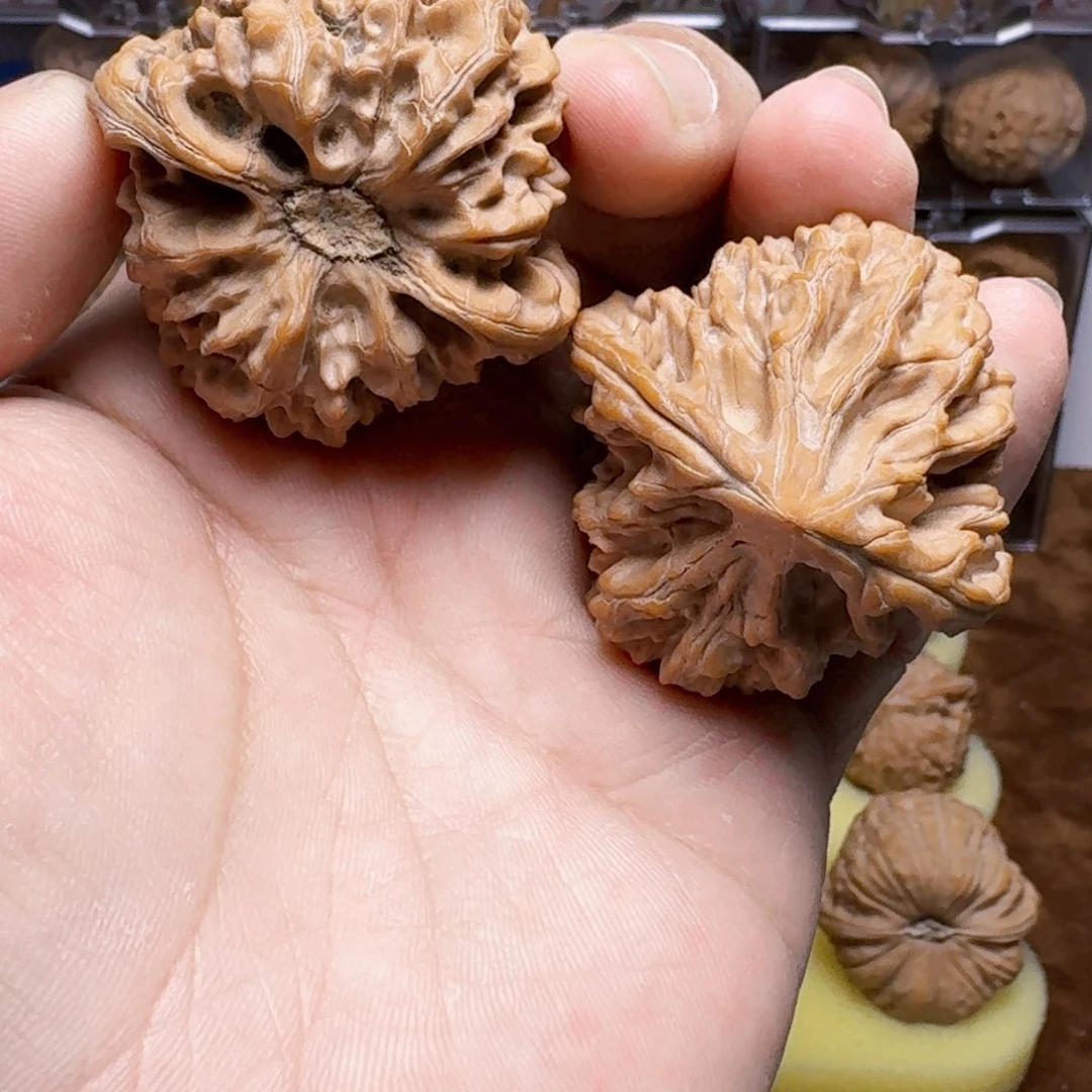 龙门涧手把件麻核桃45尺寸