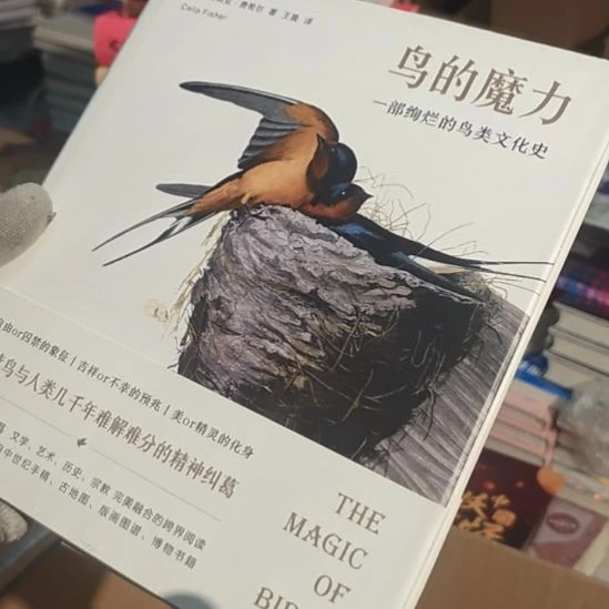 鸟的魔力（务必塑封）库存书