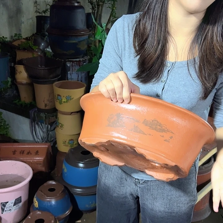 38红椭圆花盆花盆花盆花盆