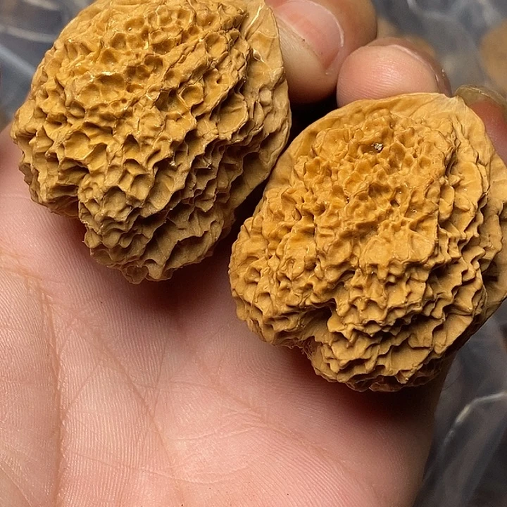 文玩核桃把件云南铁核桃53
